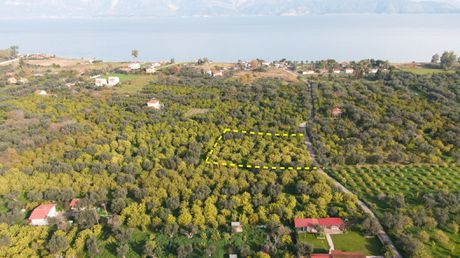 Αγροτεμάχια 2.300 τ.μ. για πώληση