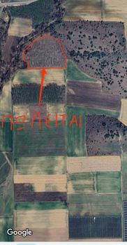Parcel 14.000 sqm for sale