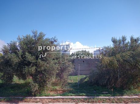 Οικόπεδο 461τ.μ. για πώληση-Ιεράπετρα » Κέντρο