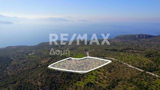 Αγροτεμάχια 8.372 τ.μ. για πώληση