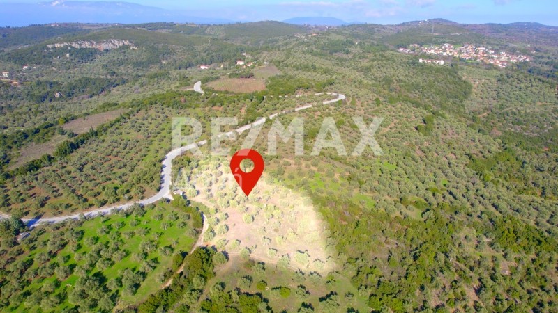 Αγροτεμάχια 8.372 τ.μ. πρός πώληση, Μαγνησία, Αργαλαστή