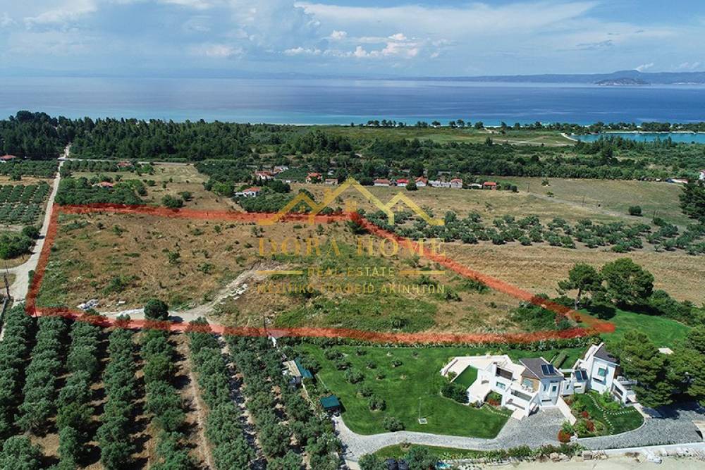 Αγροτεμάχια 28.000 τ.μ. προς πώληση, Πευκοχώρι