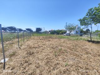 Αγροτεμάχια 400 τ.μ. για πώληση