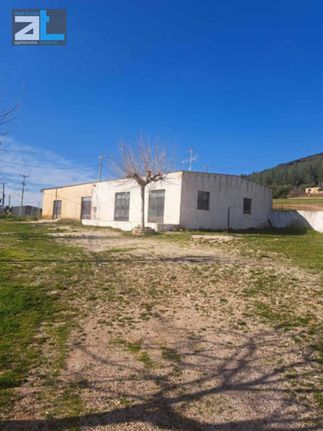 Craft space 250 sqm for rent, Achaia, Fares
