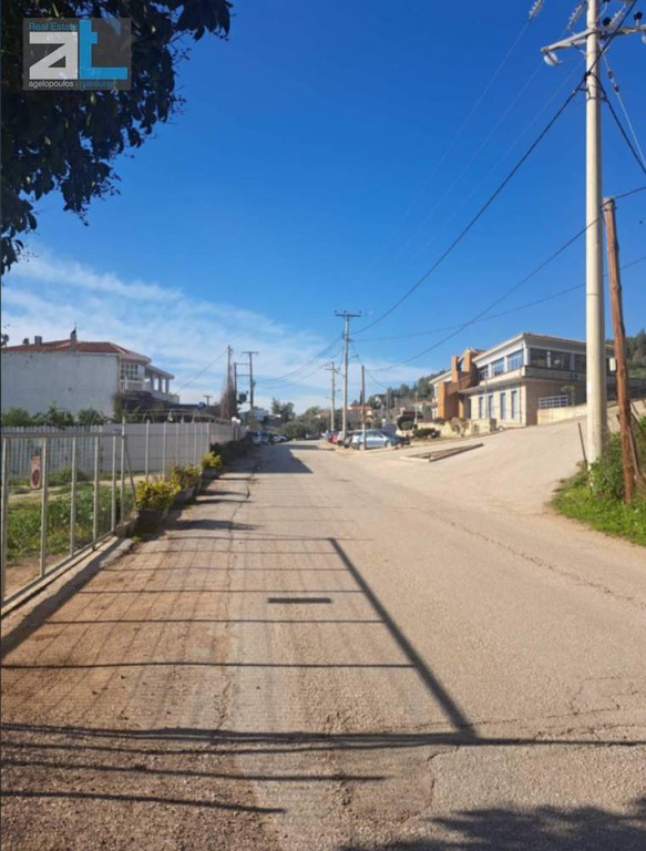 Βιοτεχνικός χώρος 250 τ.μ. πρός ενοικίαση, Αχαΐα, Φαρές