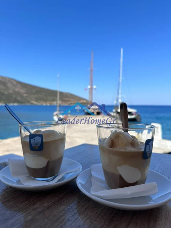 Επιχείρηση 120 τ.μ. πρός πώληση, Λακωνία, Ζάρακας