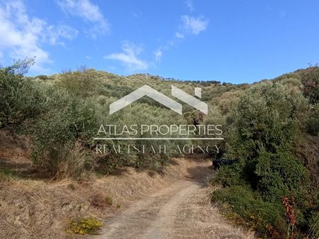 Land plot 4.224sqm for sale-Nea Kidonia » Stalos
