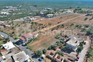 Οικόπεδο 440,46 τ.μ. για πώληση, Λακωνία, Μολάοι-thumb-13