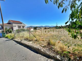 Οικόπεδο 440,46 τ.μ. για πώληση, Λακωνία, Μολάοι-thumb-7