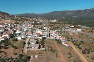 Οικόπεδο 440,46 τ.μ. για πώληση, Λακωνία, Μολάοι-thumb-19