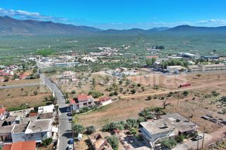 Οικόπεδο 440,46 τ.μ. για πώληση, Λακωνία, Μολάοι-thumb-16