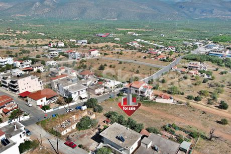 Οικόπεδο 440,46τ.μ. για πώληση-Μολάοι
