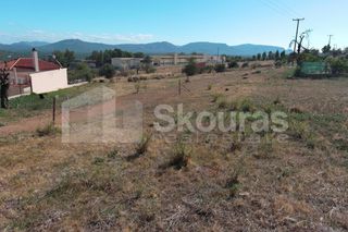 Οικόπεδο 440,46 τ.μ. για πώληση, Λακωνία, Μολάοι-thumb-24