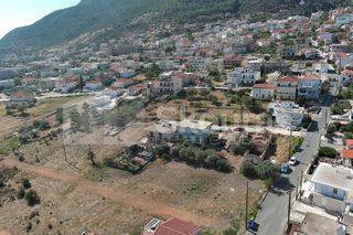 Οικόπεδο 440,46 τ.μ. για πώληση, Λακωνία, Μολάοι-thumb-21