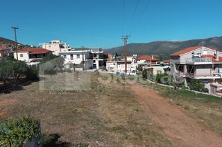 Οικόπεδο 440,46 τ.μ. για πώληση, Λακωνία, Μολάοι-thumb-22
