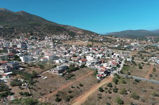 Οικόπεδο 440,46 τ.μ. για πώληση, Λακωνία, Μολάοι-thumb-14