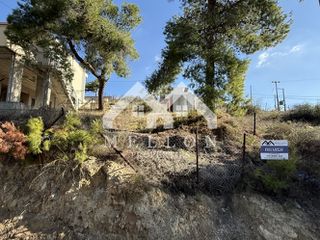 Αγροτεμάχια 197 τ.μ. πρός πώληση, Μεσσηνία, Μελιγαλά-thumb-4