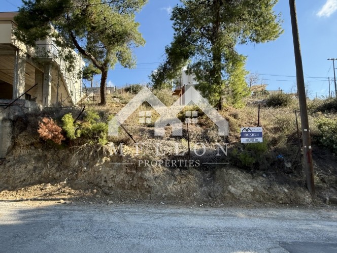 Αγροτεμάχια 197 τ.μ. πρός πώληση, Μεσσηνία, Μελιγαλά