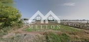 Parcel 11.345sqm for sale-Marathonas » Vranas