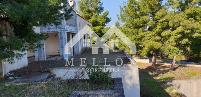 Μονοκατοικία 400 τ.μ. προς πώληση, Θεολόγος Μαλεσίνας