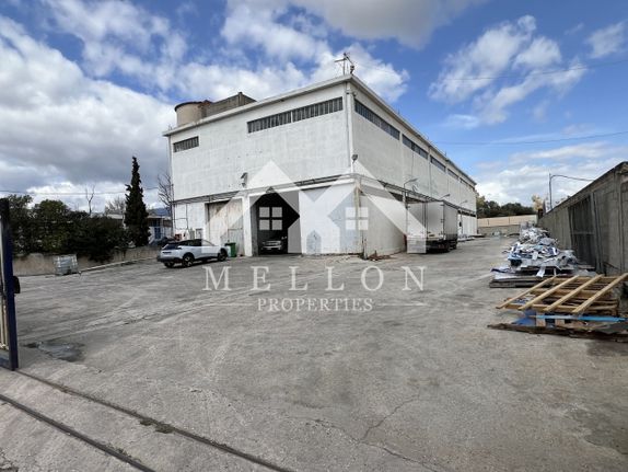 Industrial space 3.000 sqm for rent, Athens - West, Metamorfosi