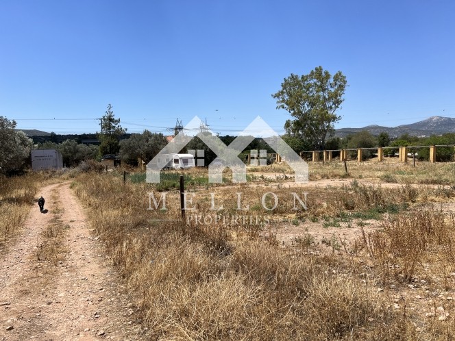 Αγροτεμάχια 30.000 τ.μ. προς πώληση, Κέντρο Κορωπίου
