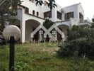 Business bulding 420sqm for rent-Lykovrisi » Agia Varvara Lykovrysis