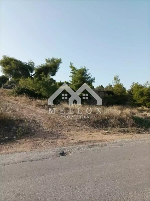 Αγροτεμάχια 12.000 τ.μ. πρός πώληση, Βοιωτία, Οινόφυτα