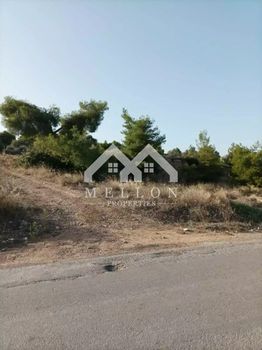 Parcel 12.000sqm for sale-Inofita » Dilesi