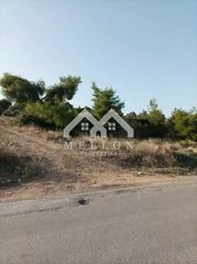Αγροτεμάχια 12.000 τ.μ. για πώληση