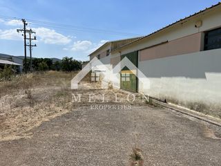 Αποθήκη 1.800 τ.μ. προς πώληση, Αυλώνα Αττικής-thumb-6