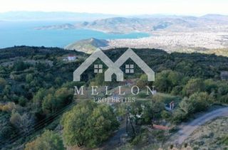 Μονοκατοικία 294 τ.μ. για πώληση
