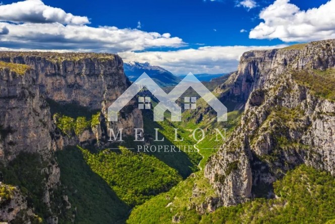Αγροτεμάχια 13.300 τ.μ. προς πώληση, Κήποι Τύμφης