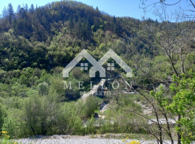 Αγροτεμάχια 13.300 τ.μ. προς πώληση, Κήποι Τύμφης