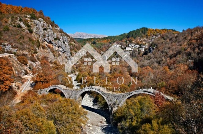 Αγροτεμάχια 13.300 τ.μ. προς πώληση, Κήποι Τύμφης