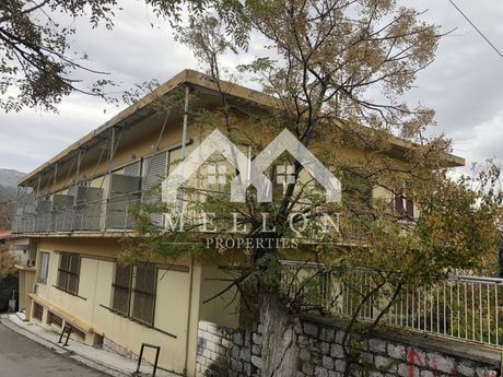 Hotel 963sqm for sale-Vilia » Center