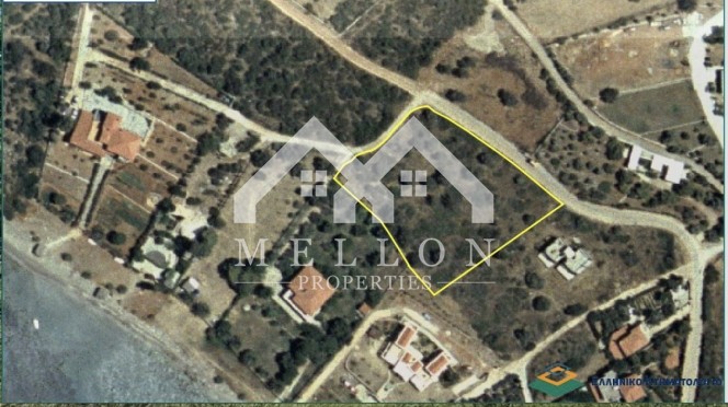 Αγροτεμάχια 4.027 τ.μ. για πώληση, Εύβοια, Στύρα