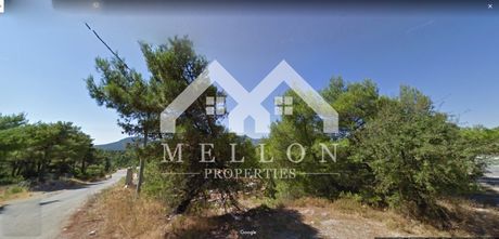 Land plot 2.000sqm for sale-Afidnes » Agia Triada