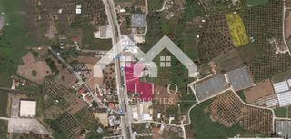 Οικόπεδο 7.000 τ.μ. για πώληση