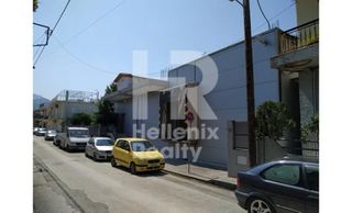 Βιοτεχνικός χώρος 498 τ.μ. για πώληση, Αχαΐα, Μεσσατίδα-thumb-2