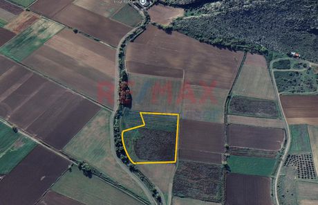 Parcel 12.000sqm for sale-Orchomenos