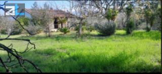 Οικόπεδο 4.800 τ.μ. για πώληση, Αχαΐα, Βραχναίικα-thumb-7