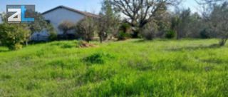 Οικόπεδο 4.800 τ.μ. για πώληση, Αχαΐα, Βραχναίικα-thumb-6