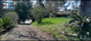 Οικόπεδο 4.800 τ.μ. για πώληση, Αχαΐα, Βραχναίικα-thumb-8