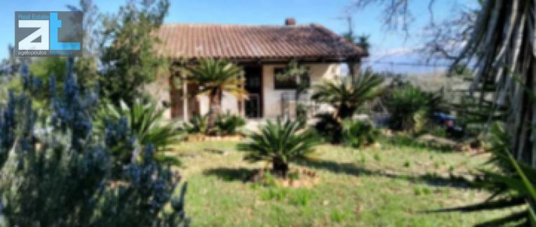 Οικόπεδο 4.800 τ.μ. για πώληση, Αχαΐα, Βραχναίικα