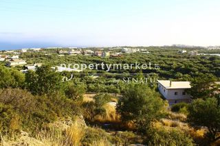 Οικόπεδο 4.000 τ.μ. για πώληση, Ν. Λασιθίου, Ιεράπετρα-thumb-1