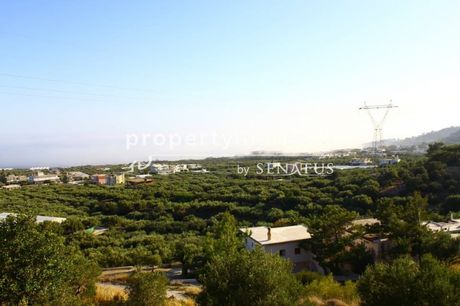 Οικόπεδο 4.000τ.μ. για πώληση-Ιεράπετρα » Φέρμα
