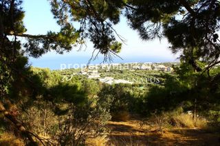 Οικόπεδο 4.000 τ.μ. για πώληση, Ν. Λασιθίου, Ιεράπετρα-thumb-5