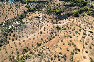 Αγροτεμάχια 4.000 τ.μ. για πώληση, Αργολίδα, Κρανίδι-thumb-23