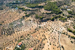 Αγροτεμάχια 4.000 τ.μ. για πώληση, Αργολίδα, Κρανίδι-thumb-22